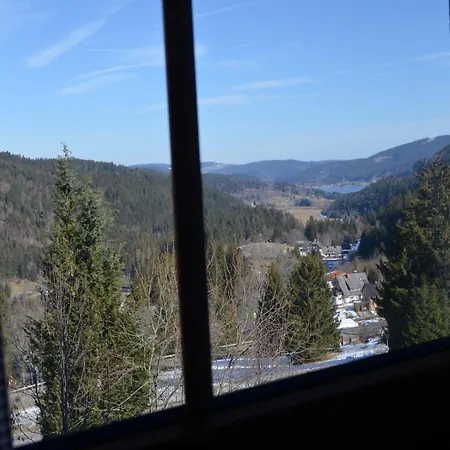 Seeblick Nr 4 2-zimmer, Baerental, Feldberg