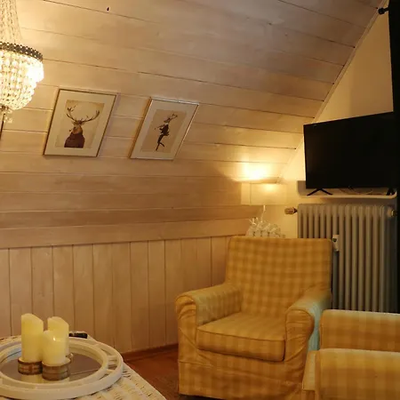 Seeblick Nr 4 2-zimmer, Baerental, Feldberg