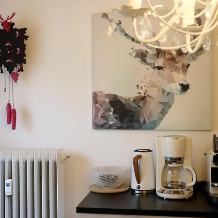 Seeblick Nr 4 2-zimmer, Baerental, Feldberg Rotwasser