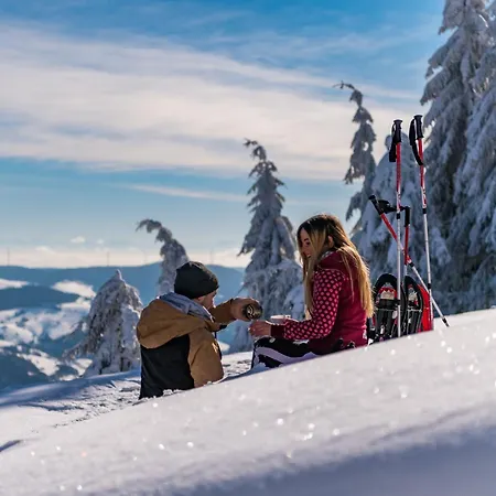 Seeblick Nr 4 2-zimmer, Baerental, Feldberg Rotwasser