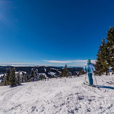 Apartman Seeblick Nr 4 2-zimmer, Baerental, Feldberg *