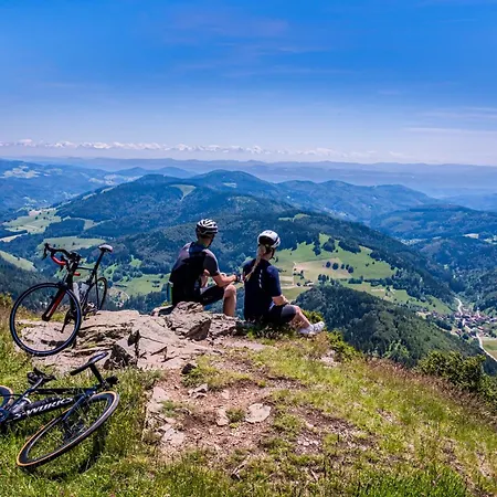 Apartman Seeblick Nr 4 2-zimmer, Baerental, Feldberg Rotwasser